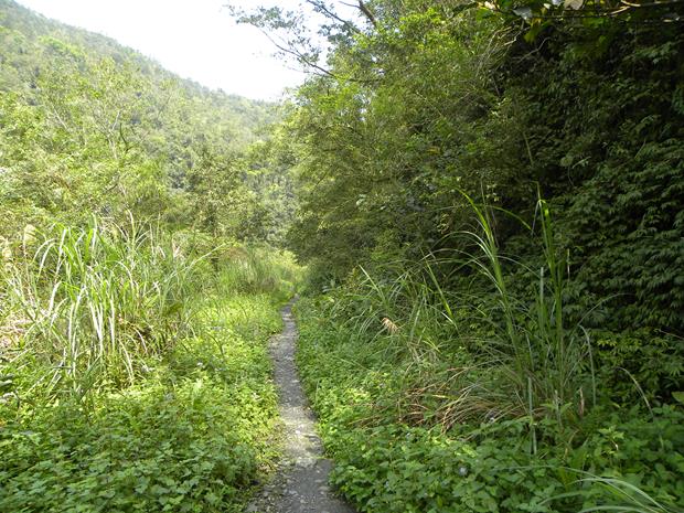 古魯生態園區-林道