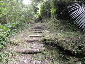 環境教育步道圖片