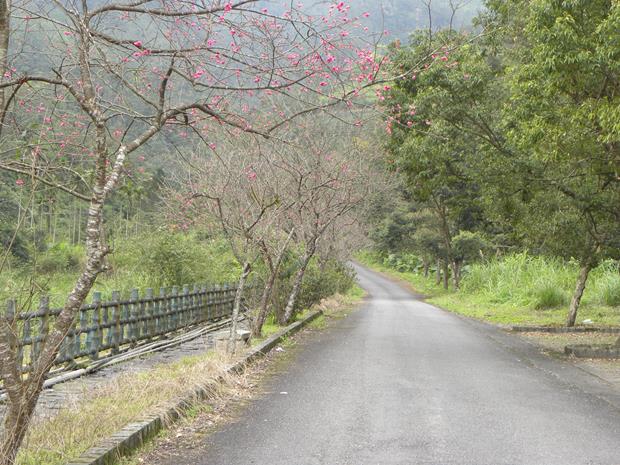 玉蘭登山步道-道路