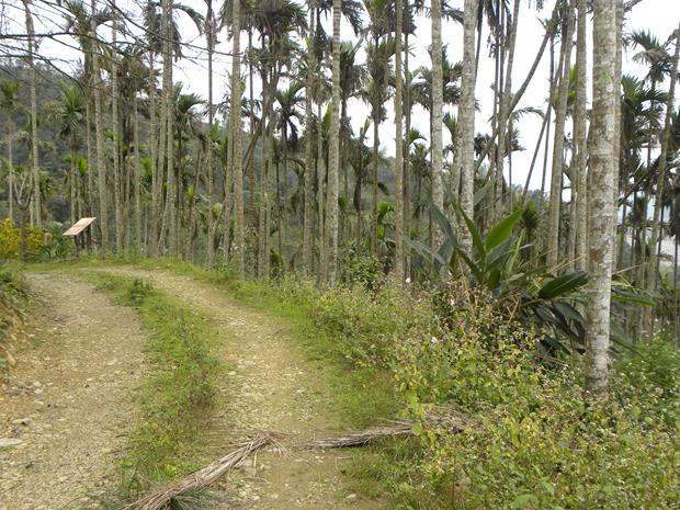 玉蘭登山步道-上坡路