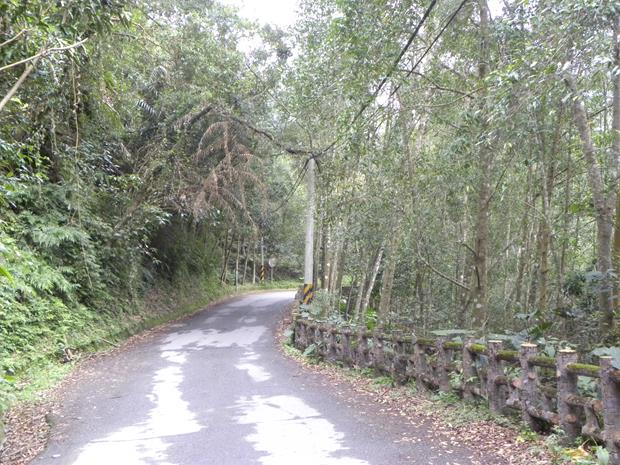 玉蘭登山步道-小路