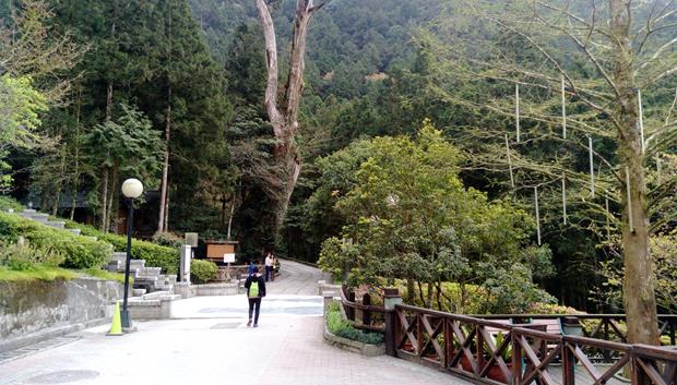 明池森林遊樂區-景區