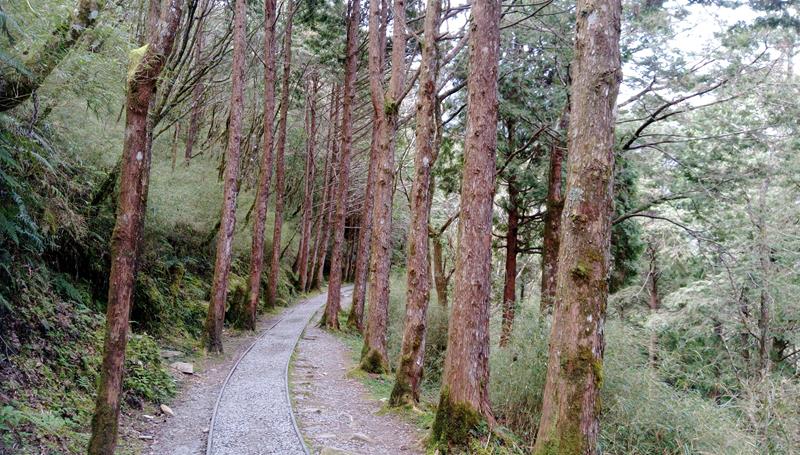 見晴懷古步道-山林B