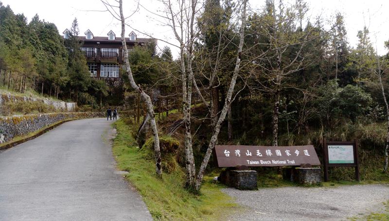 山毛櫸步道-入口遠照