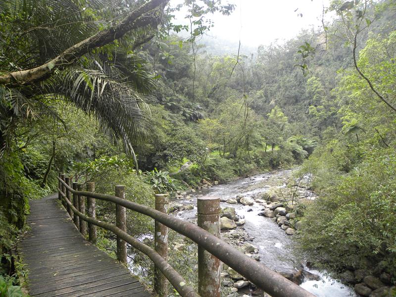 九寮溪自然步道-木橋A