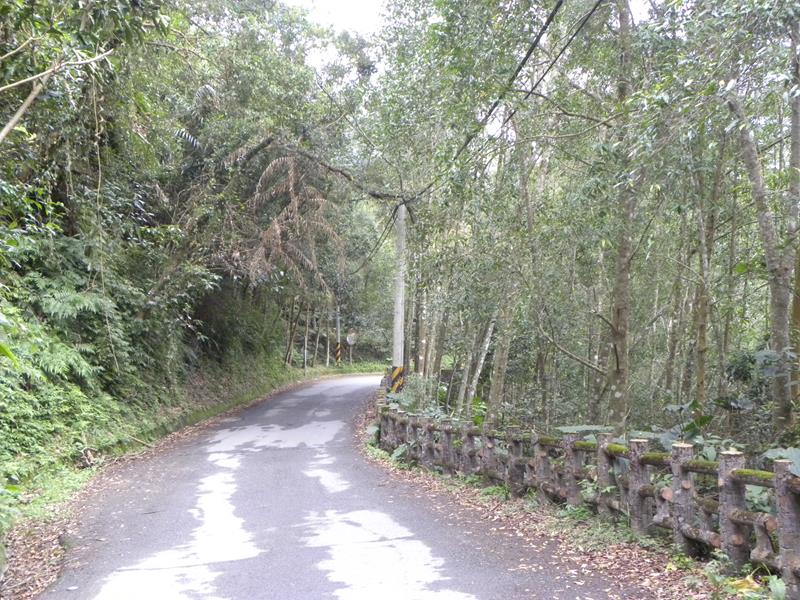 玉蘭登山步道-林間道路