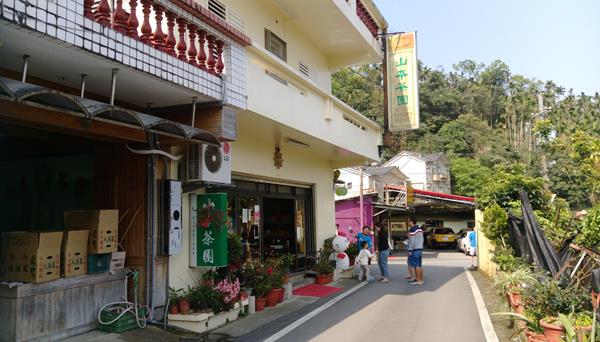 山本茶園照片